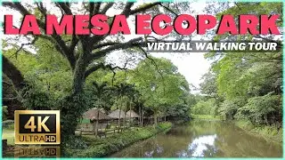 WEEKEND MORNING WALKING TOUR and STROLL at LA MESA ECOPARK Quezon City Philippines 4K 🇵🇭