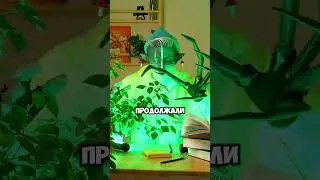 Репутация важнее ? 