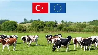 Avrupa Birliği hibe desteği