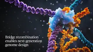 Next-Generation System for Programmable Genome Design