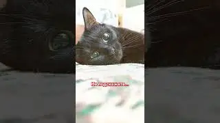 не подскажете... 