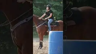 Exercise My Barrel Horse With Me 
