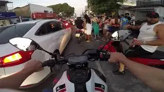 Role 244 eleição 2024