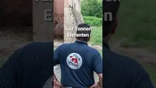 "Mission Tierschutz" Folge 3 | VIER PFOTEN