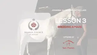 Johanna Ullstrom's 2nd Masterclass - LESSON 3 -  Breeding a Mare