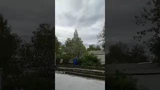 Певчие птички у нас на даче.