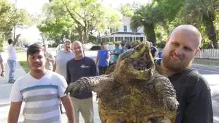 Turtle Pond Build at the Chelonian Research Institute