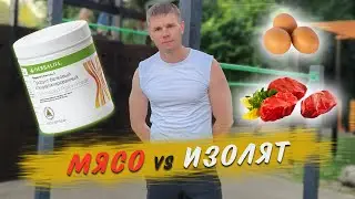 What foods contain protein. The role of protein. Herbalife Nutrition Formula 3 Protein Blend