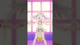 THE SHIBBI SHUFFLE