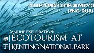 Kenting National Park｜Marine Exploration: Ecotourism (Eng)｜Coral Reef｜Hengchun｜Taiwan｜墾丁國家公園系列