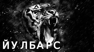 ЙУЛБАРСЛАР ХАКИДА ТОП ФАКТЛАР