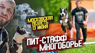 СОБАЧЬИ РАЗБОРКИ В БАЛАШИХЕ. 2021