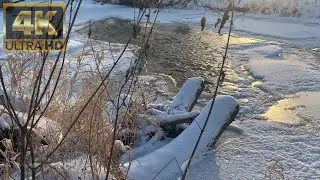 Река зимой.Расслабляющие журчание речки. Calming River Sounds