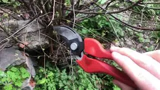 Секатор Bahco pg-12