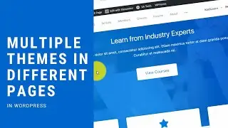 How to put multiple themes in different pages on Wordpress