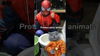 Omg!😭 Please Give The Poor Kittens More Love❤️🐈 