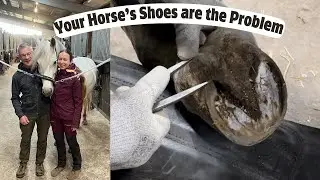 Holistic Farrier Nick Hill Shows How to Trim a Hoof!