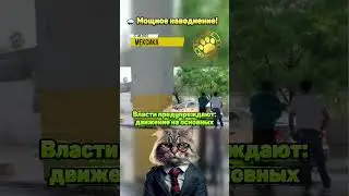 🌧️ Мощное наводнение!