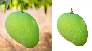 Remove Background in one click in adobe Photoshop tutorials 