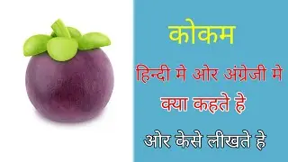 Mangosteen Indian name | Mangosteen meaning in hindi | Mangosteen fruit in India | Kokam meaning