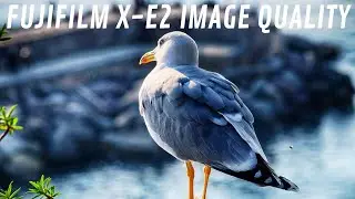 FujiFilm X-E2 📸 Sample Photography - Image Quality