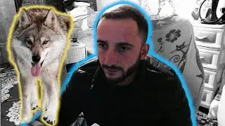Агоп про приют в котором теперь Афина