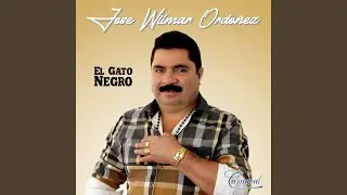 A Mi Amor Nunca le Temas
