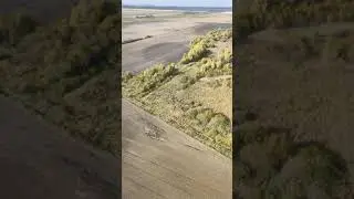 Полет на самолёте