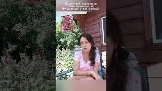 Чему не учат в консерватории