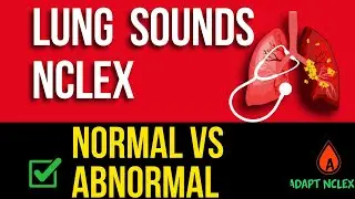 NCLEX Respiratory Assessment | Lung Sounds & Breath Sounds Fundamentals Explained