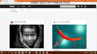 Flickr Kullanımı
