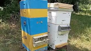 Силиконовая сетка для сбора прополиса работает прекрасно!!!