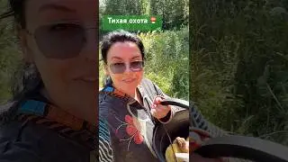 #ruslanlyudmila #дача #тихая_охота #загрибами