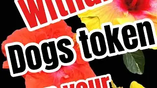 dogs Airdrop claim  and Withdraw Process step by step bybit