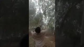 bombard darling bachara