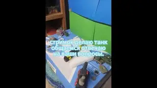 стримок делаю танк общаюсь отвечаю на вопросы.