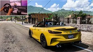 BMW Z4 ROADSTER In Forza Horizon 5 | PXN V10 Steering Wheel Gameplay