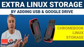 Add USB storage and Google Drive storage to Linux on ChromeOS