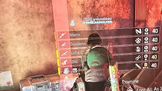 The Ourobros Two Exotic Smg??