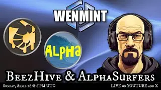 LIVE with BeezHive & AlphaSurfers