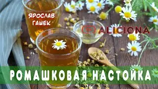 Ромашковая настойка - Ярослав Гашек | Аудиокнига
