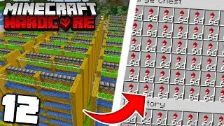 I Built the BIGGEST Firework Farm EVER! | Minecraft Hardcore - Episode 12