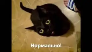 всо ок