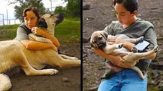 Maya plays with MORE puppies and meets the MOTHER