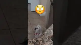 We are NOT alone 😨 