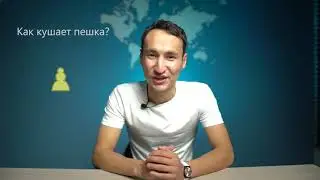 Урок 6. Пешка. Как ходит и кушает пешка.