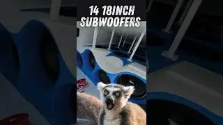 YOU HAVE NEVER SEEN BASS LIKE THIS BEFORE👀 #subwoofer #caraudio #slamology  #libertybass