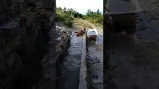 We cool off in Water
