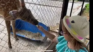 Николь и Стефан приехали в зоопарк и бассейн. Кормим оленя, страуса и альпак