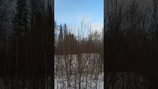 Господа Охотники - Чем же для Нас является ОХОТА?????